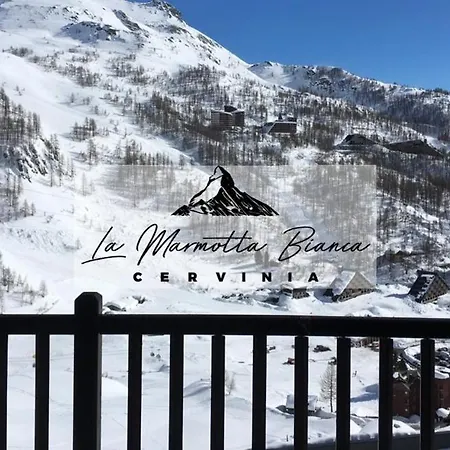 La Marmotta Bianca In Out 布勒伊-切尔维尼亚