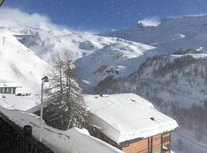 La Marmotta Bianca In Out